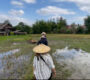 Best experience in Laos: Day as a Lao Rice Farmer